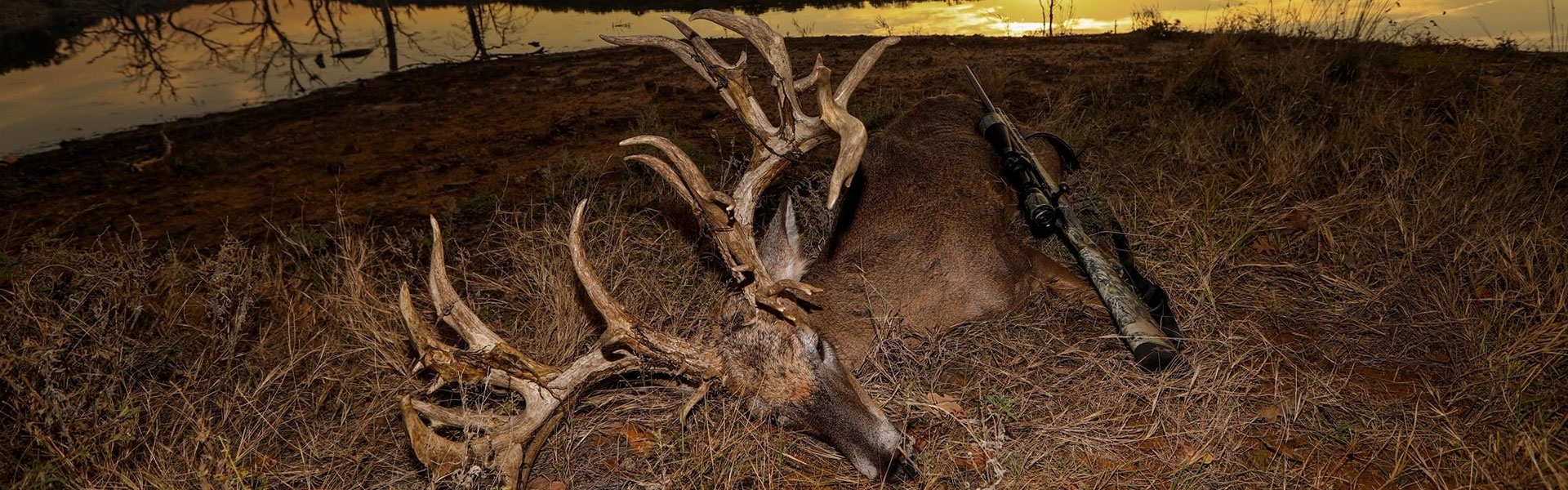 Trophy Texas Hunts At Montgomery Properties Ranch