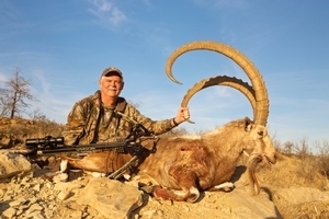 Nubian Ibex<br>$17,500+