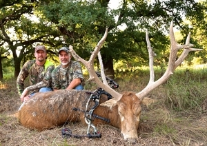 Pere David's Deer<br>$8,000